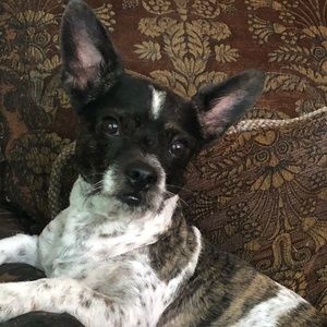 Meet your Posher, Maria